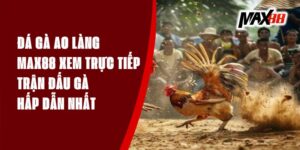 Đá Gà Ao Làng Max88 - Xem Trực Tiếp Trận Đấu Gà Hấp Dẫn Nhất