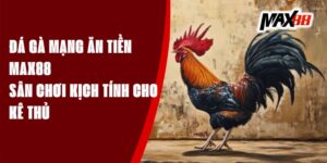 Đá Gà Mạng Ăn Tiền Max88 - Sân Chơi Kịch Tính Cho Kê Thủ